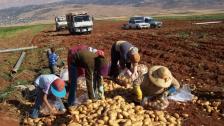  الأزمة الاقتصادية تزيد اهتمام اللبنانيين بالزراعة...مرتضى: استصلاح 6 آلاف دونم من الأراضي خلال العام الماضي
