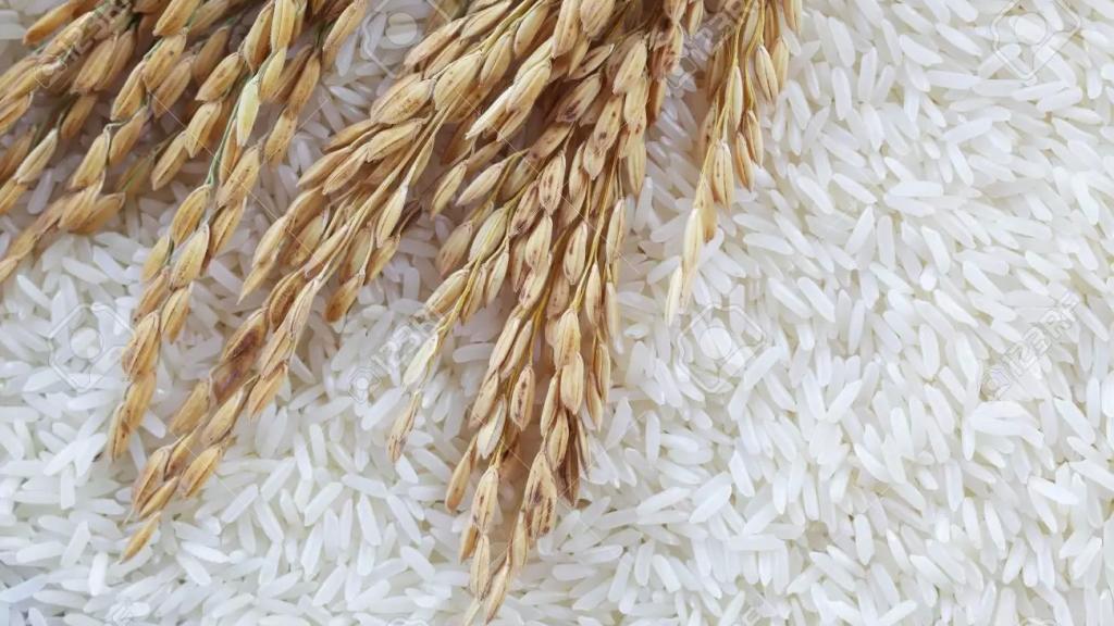 خمسة آلاف طن من الأرز.. هبة من البرازيل تصل إلى لبنان في آب المقبل