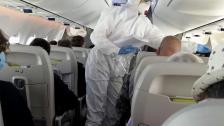 الطيران المدني المصري يحذّر من فيروس &quot;نيباه&quot;: ينتقل من الحيوان إلى الإنسان وقد يؤدي للغيبوبة خلال 48 ساعة!