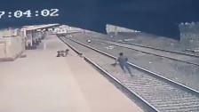 فيديو يحبس الأنفاس لعامل شجاع خاطر بحياته لإنقاذ طفل من السكة قبل لحظات من مرور القطار!