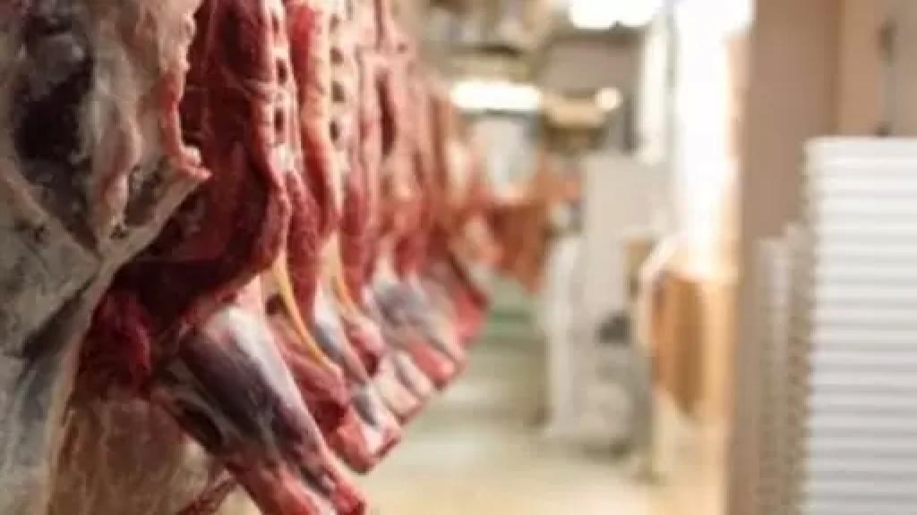 بلدية بنت جبيل تحدد سعر كيلو لحم البقر بين ٣٩٠٠٠ - ٤٥٠٠٠: كل البقر الموجود في لبنان مدعوم من قبل وزارة الإقتصاد