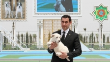 بعد أن أقام له تمثالاً وكتب عنه قصيدة...رئيس تركمانستان يمنح عطلة عامة لكلب الـ&quot;ألاباي&quot;