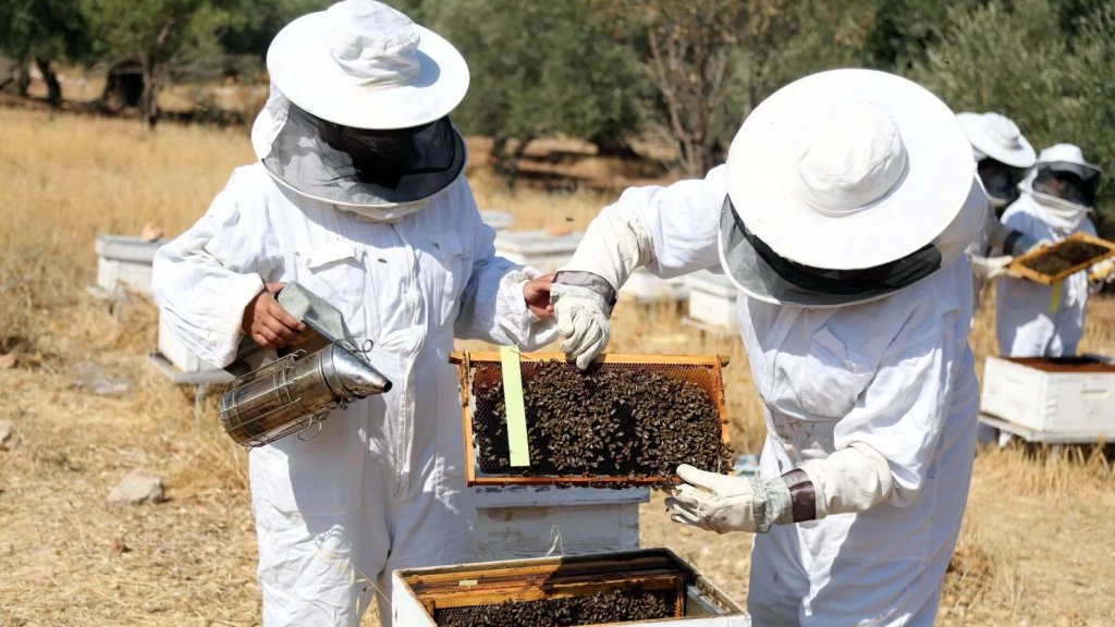 المركز الزراعي في بنت جبيل لـ المزارعين ومربو النحل والماشية: إتخذوا هذه الإجراءات عند انطلاق عمليات الرش لمكافحة انتشار حشرة الجندب 