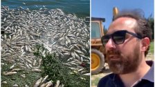 بالفيديو/ مدير عام مصلحة الليطاني يكشف عن &quot;فضيحة&quot; كبيرة: 7 طن من الأسماك النافقة في بحيرة القرعون تحولت الى السوق وتم بيعها للمواطنين بالأيام الماضية