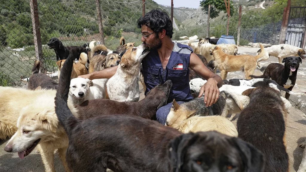 &quot;بعت روحي&quot;.. بسبب الأزمة الاقتصادية، لبنانيون يتخلون عن حيواناتهم الأليفة!