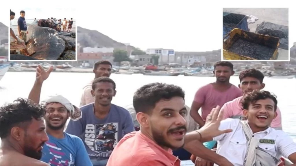 صيادون يمنيّون يجنون ثروة بعد عثورهم على عنبر في جوف حوت.. بيع لرجل أعمال إماراتي بـ1.5 مليون دولار!