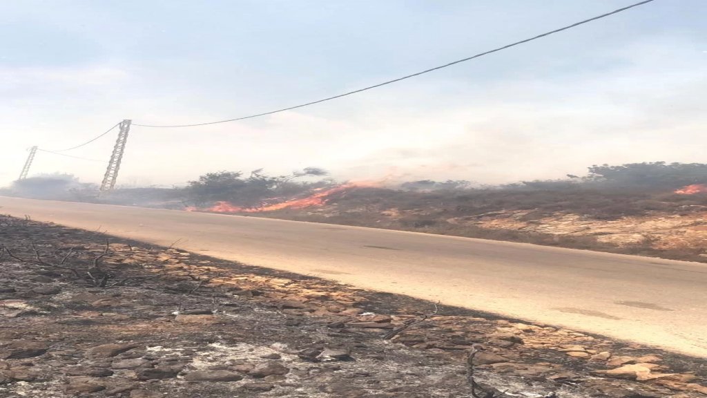 حريق كبير في خراج بلدة بينو والنيران من اقتربت بساتين الزيتون