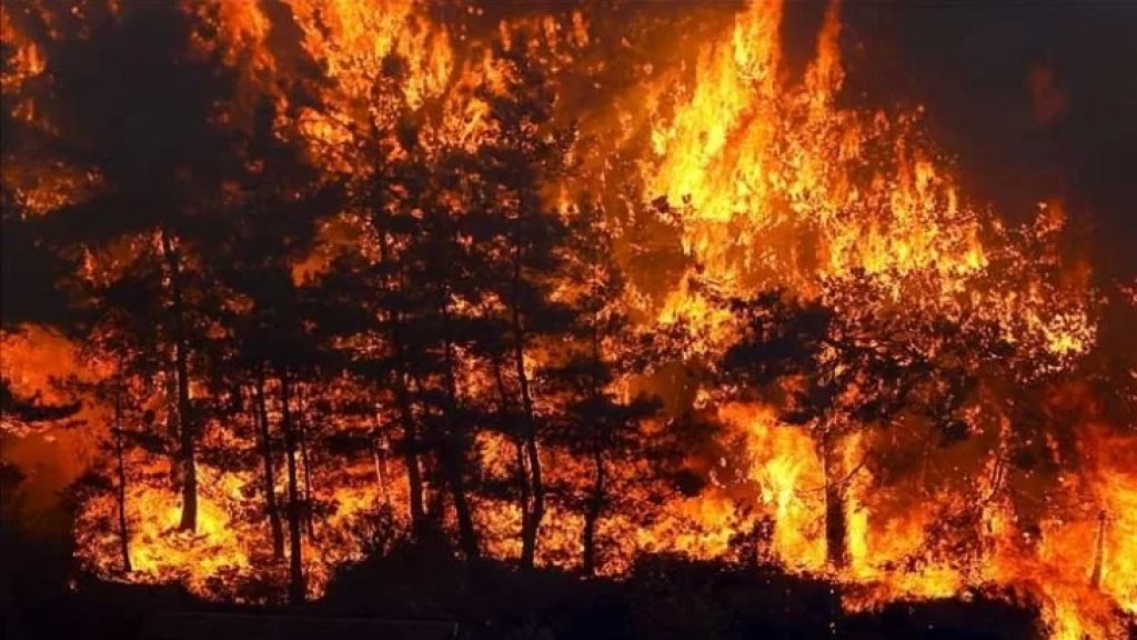 إسطنبول تحظر دخول الغابات طيلة آب.. تُمنع كافة رحلات التنزه في الغابات وإيقاد النيران للشواء