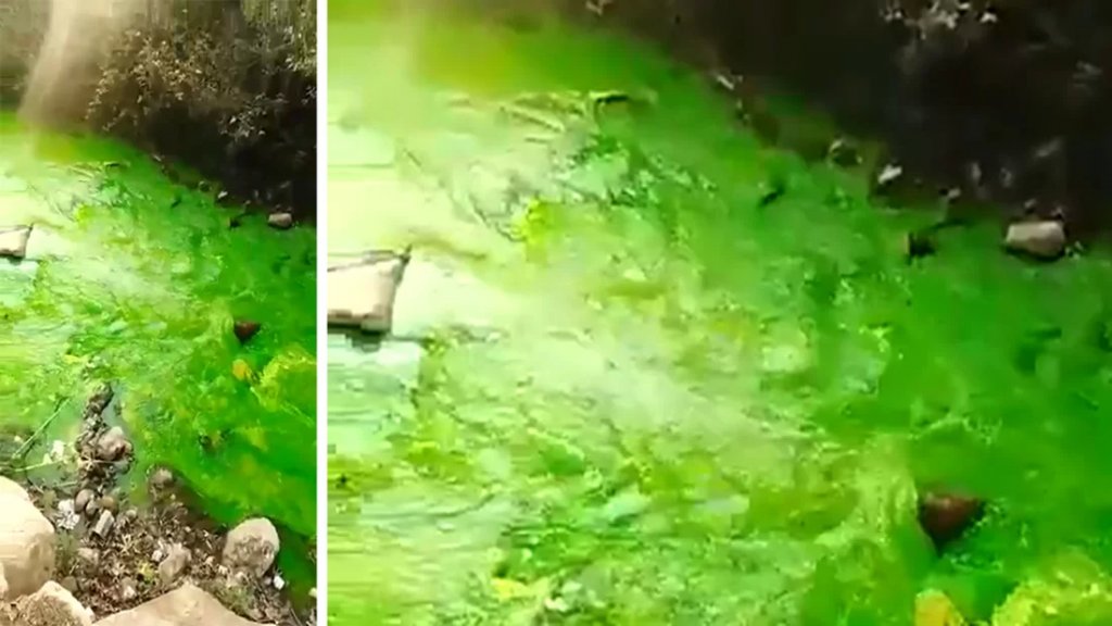 بالفيديو/ نهر عيون السمك تحوّل لونه إلى الأخضر ليتبين أنها مادة أضيفت بهدف إعداد دراسة عن المياه الجوفية