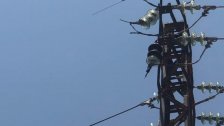 الادعاء على سارق كابل كهرباء بطول 11 متراً على طريق راشيا الفخار الماري