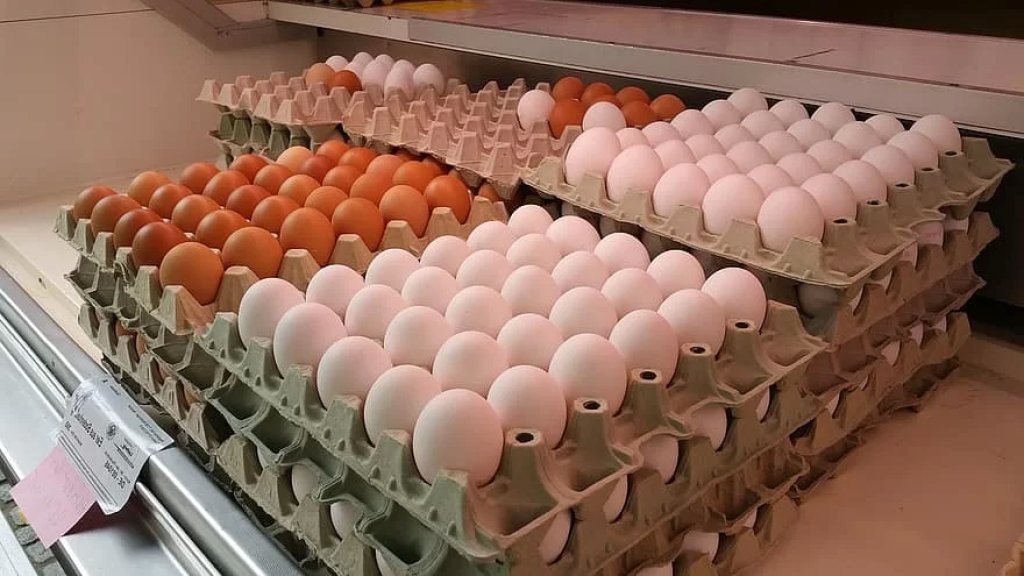 &quot;الدجاج بات اليوم يبيض ذهباً&quot;.. كرتونة البيض تختفي من دكاكين البقاع بسبب غلاء أسعارها!