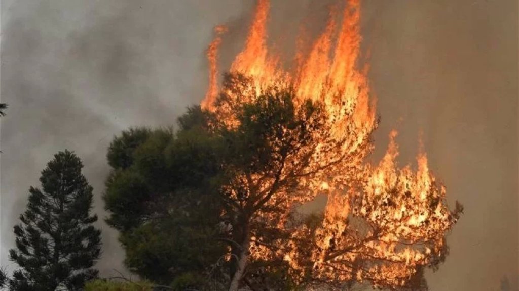 الحرارة إلى ارتفاع.. ومصلحة الأبحاث العلميّة الزراعيّة تحذر من الحرائق: للإبقاء على الجهوزية التامة!