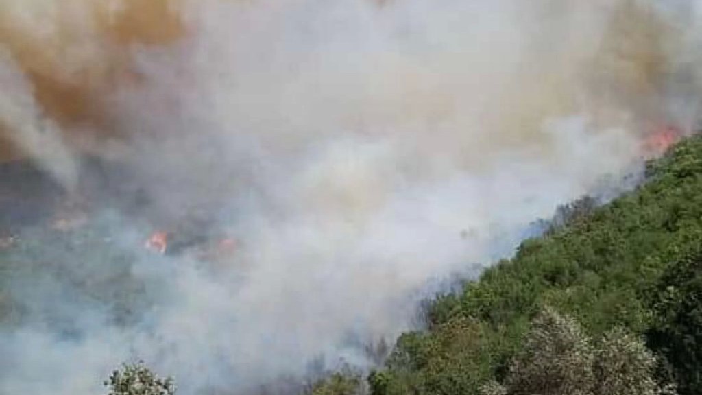 أدت الحرائق المستعرة إلى انفجار قنبلة في محيط بلدة بيت ليف والعناية الإلهية حالت دون وقوع إصابات 