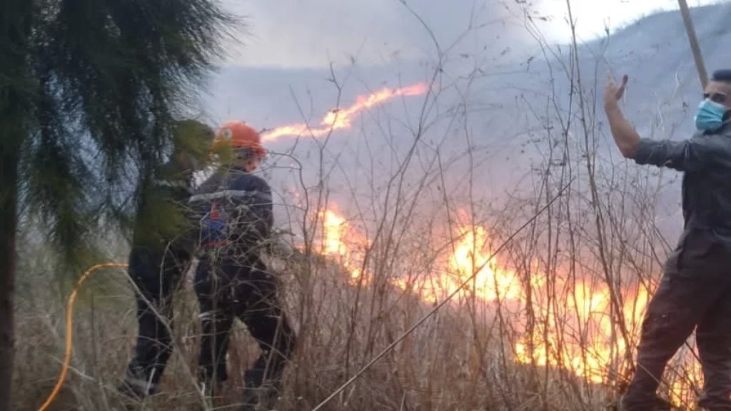 بالفيديو/ حريق هائل في بلدة بافليه الجنوبية!