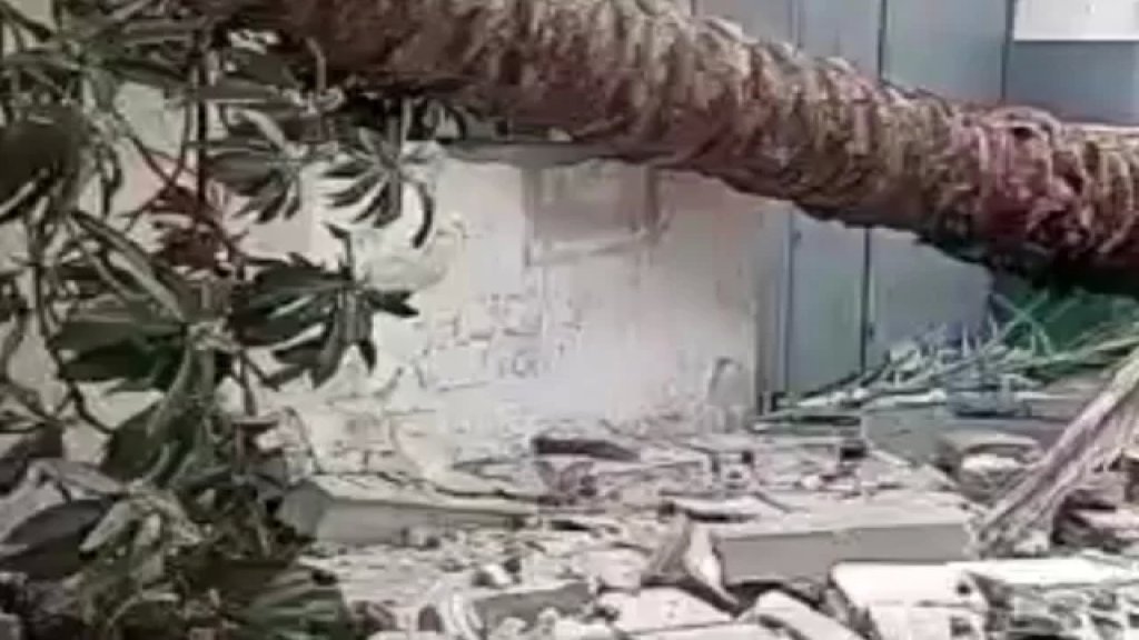 بالفيديو/ العاصفة &quot;تحل&quot; في صيدا.. سقوط شجرة كبيرة تسبب بسقوط حائط وانقطاع لبعض الأسلاك الكهربائية!