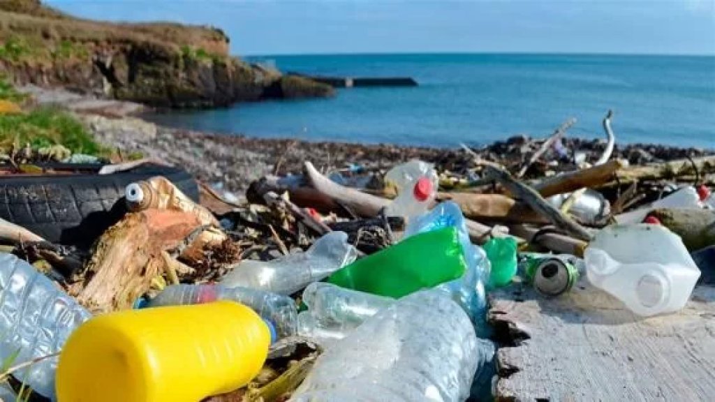 التلوث البلاستيكي: من البحر إلى السمك إلى المائدة.. و&quot;صحتين&quot;!