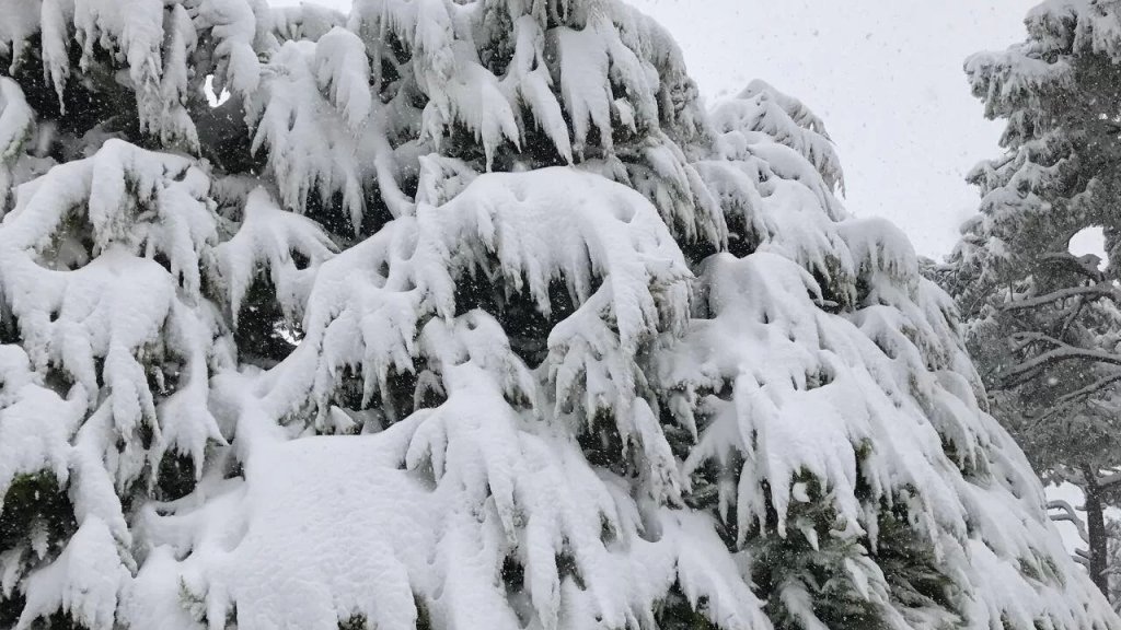 الأب ايلي خنيصر المتخصص بالأحوال الجوية: &quot;هل تعلمون بأن 70% من مساحة لبنان ستتغطى بالثلوج فجر الخميس؟&quot;