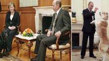 بالفيديو/ بوتين يحطم هيبة رؤساء الدول ويستهزأ بالجميع