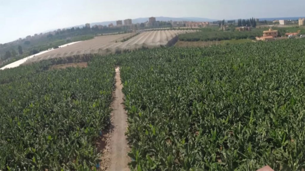 بالصور/ عقار مميز معروض للبيع في منطقة برج الشمالي