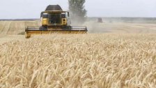 الحكومة الأوكرانية تحظر تصدير عدد من الحبوب والسكر والملح واللحوم حتى نهاية هذا العام