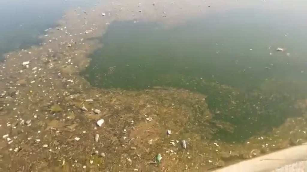 بالفيديو/ مشاهد صادمة للنفايات الصلبة التي تغزو بحيرة القرعون!