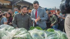 أساس ميديا: ستأكلون قمحاً متعفّناً.. وافق عليه وزيرا الزراعة والاقتصاد