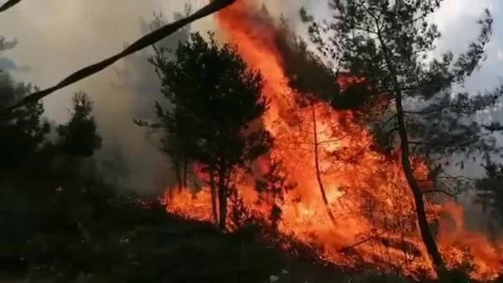 بالفيديو/ حريق كبير  في بطرماز - الضنية ومناشدات لإخماده قبل أن يطال المنازل المحاذية والأراضي الزراعية!
