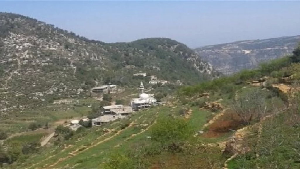 إشكال عائلي في بيت حاويك - الضنية.. تضارب بالعصي وإطلاق نار كثيف!