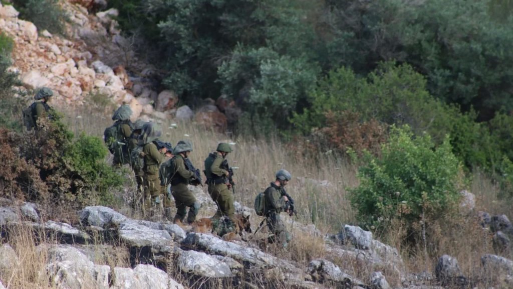 الإحتلال سرق 250 رأس ماعز في مرتفعات كفرشوبا