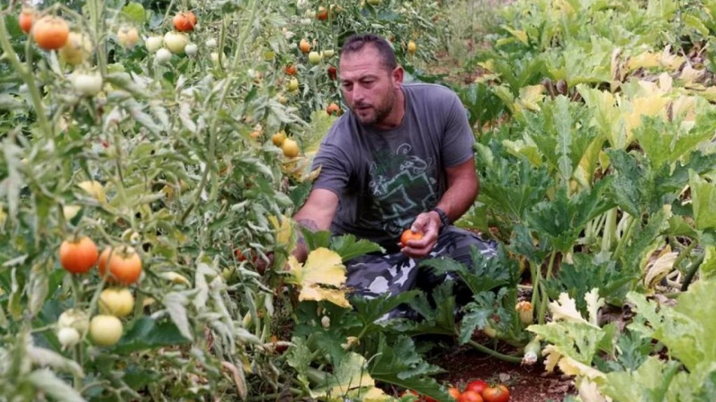 تقرير لرويترز: أسر لبنانية تعود للزراعة لتنجو من الأزمات