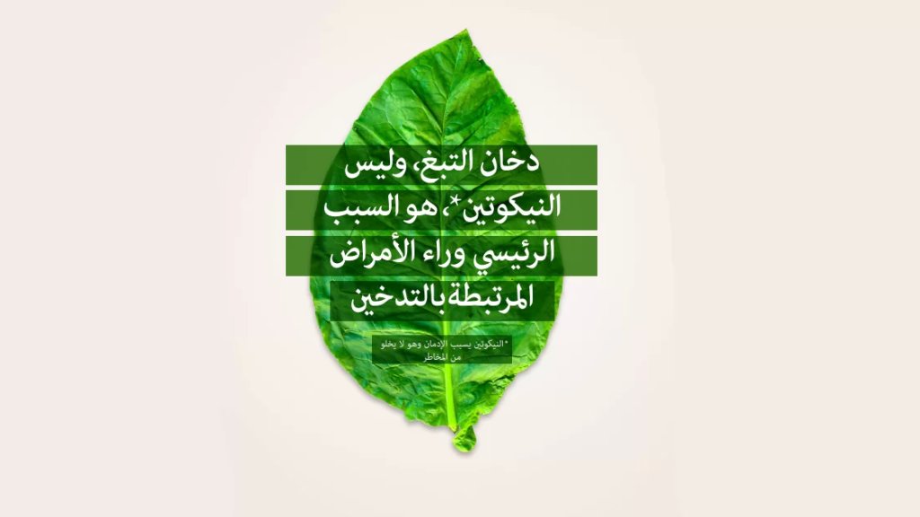 حرق التبغ.. المصدر الرئيس للمواد الكيميائية الضارة!