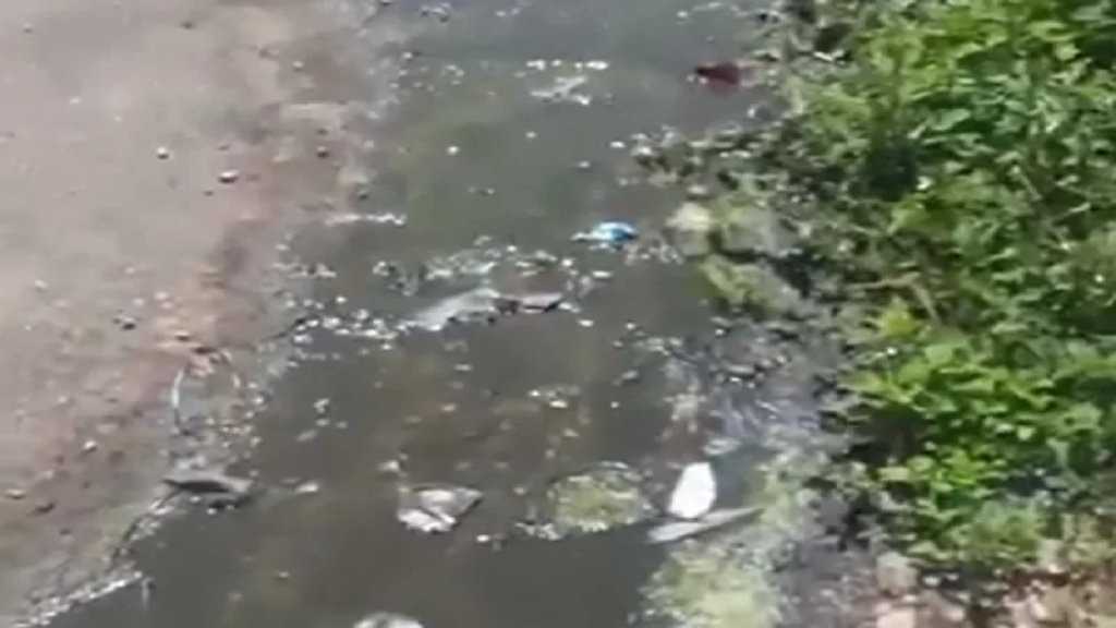 بالفيديو/ مناشدة من سكان حي المنشر في بنت جبيل المهددون بالأمراض المستعصية بسبب الجورة الصحية التابعة للسرايا الحكومي! 