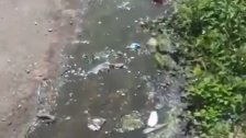 بالفيديو/ مناشدة من سكان حي المنشر في بنت جبيل المهددون بالأمراض المستعصية بسبب الجورة الصحية التابعة للسرايا الحكومي! 