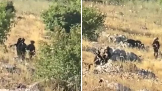 بالفيديو/ كلبٌ و 21 جندياً &quot;إسرائيلياً&quot; نفذوا انتشار خارج السياج التقني في &quot;كروم الشراقي&quot; عند حدود بلدة ميس الجبل