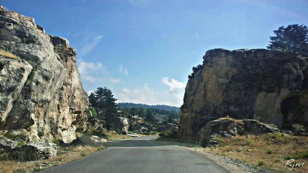 بلدية الفنيدق: لن نسمح للعابثين المتاجرين بالحطب بالقضاء على ثروتنا وغاباتنا