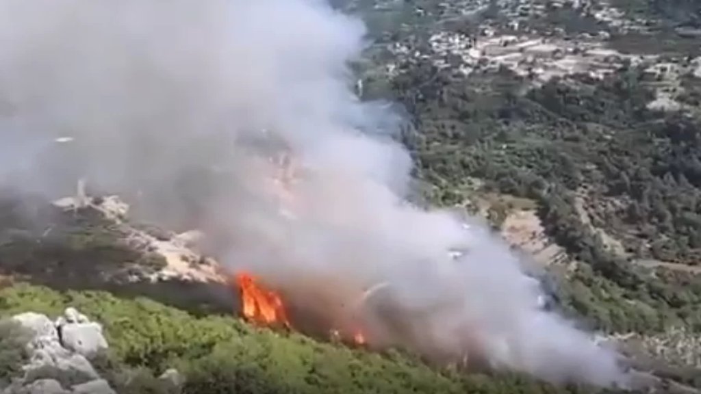 بالصور والفيديو/ اندلاع حريق كبير في غابات منطقة قبعيت
