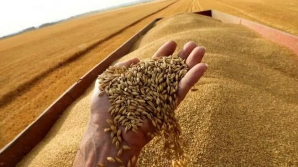 روسيا تعرض على لبنان هبة 40 ألف طن من القمح