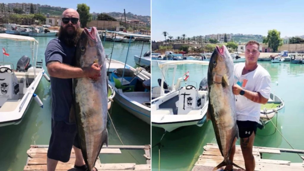 بالصور/ إصطياد سمكة ضخمة في الصرفند! 