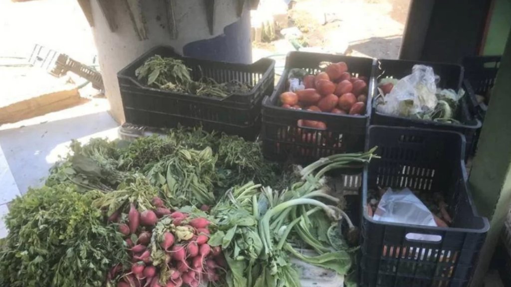 مآسي الناس في عيون الخضرجي واللحام وتاجر البالة.. لبنانيون يشترون أرجل الدجاج و"الجلاميق" والخبز المحروق!