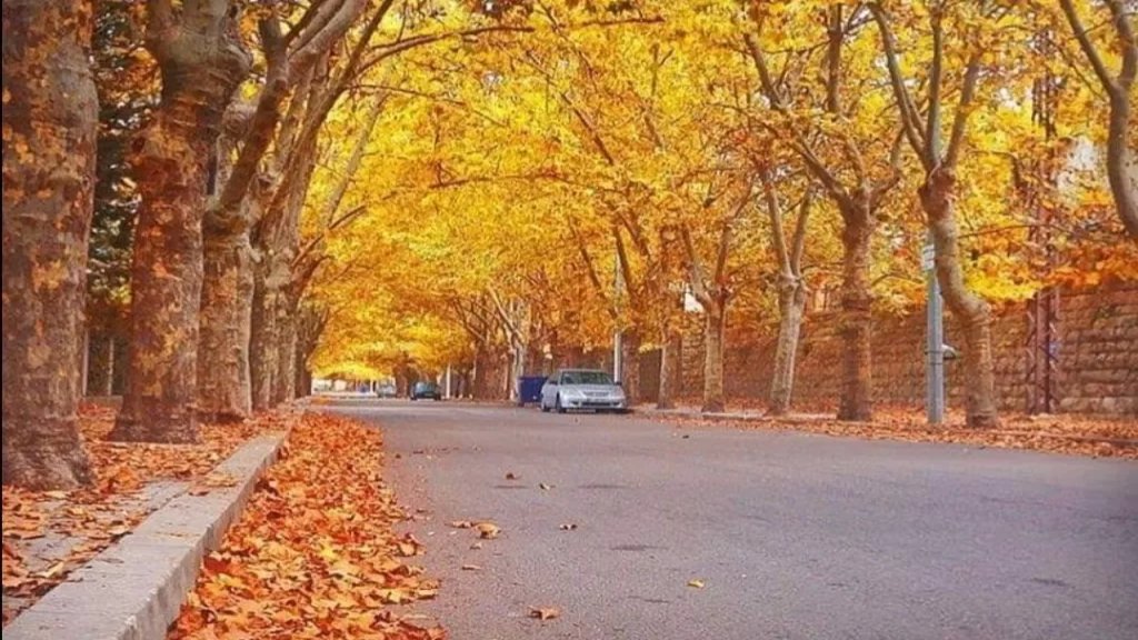أجواء خريفية والحرارة دون معدلاتها.. انخفاض ملموس في درجات الحرارة!