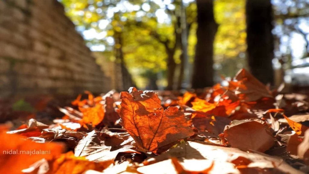 طقس خريفي بإمتياز... امطار وضباب وانخفاض في الحرارة!