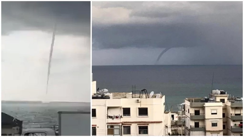 بالفيديو/ ظهور "تنين البحر" قبالة عدة شواطئ لبنانية!