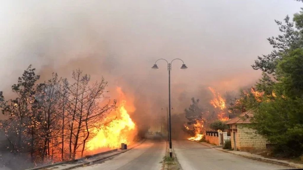 وزير البيئة: استطعنا خفض أعداد ومساحات حرائق الغابات بشكل كبير قياساً لمعدل السنوات السابقة