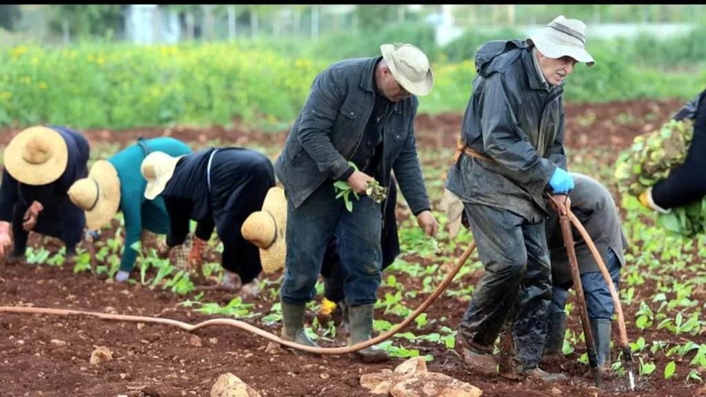 فروع FENASOL جنوبا: على البلديات مساعدة الأهالي تحسبا للشتاء وعلى الريجي رفع سعر كيلو التبغ