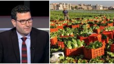  استناداً للفحوصات المخبرية التي تم اجرائها.. وزر الزراعة يطمئن اللبنانيين: &quot;لا كوليرا في المزروعات الشمالية&quot;
