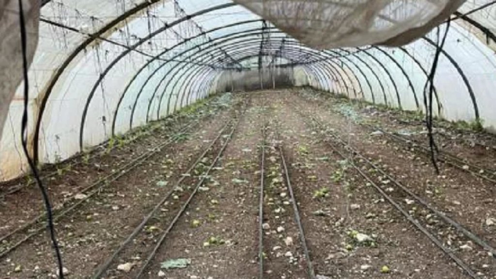 سحب المياه من بركة الصرف الصحي وروى المزروعات بواسطتها في الخرايب.. ومفرزة استقصاء الجنوب توقفه!