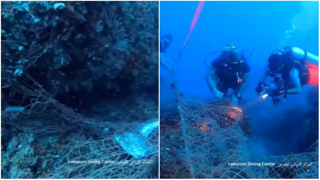 بالفيديو/ إزالة شباك الصيد من البحر على عمق تجاوز ال ٤٠ مترًا لما تسببه من خطر على الحياة البحرية