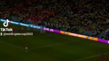 بالفيديو/ انقطاع التيار الكهربائي خلال مباراة البرازيل وسويسرا