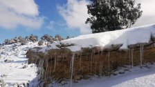 منخفض جويّ يصل لبنان... الثلوج تلامس الـ1700 متر وتحذير من الجليد