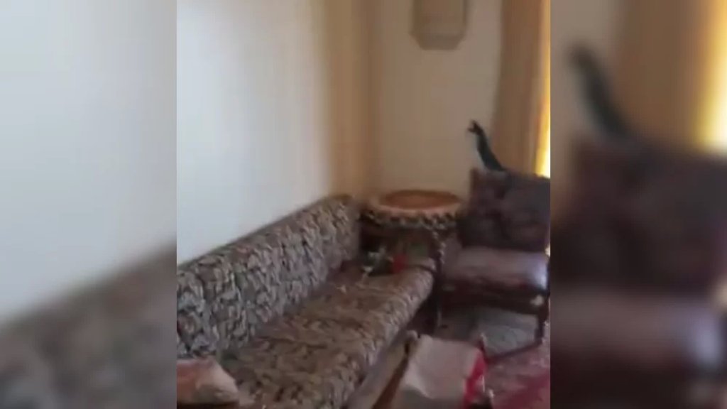 بالفيديو/ تعرض عدد من الشقق السكنية في منطقة بقاعصفرين قضاء الضنية للسرقة والتخريب والتكسير 